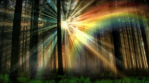 Sun Rays And Rainbow Colors In The Enchanted Forest Footage 56923228