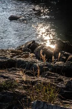 Sun rays are reflecting water with rock on the shore. Stock Photos