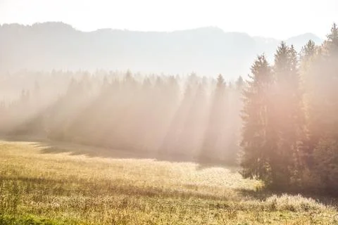 Sun rays in autumn meadow. Background photo, wallpaper Stock Photos