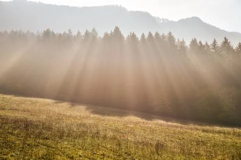 Sun rays in autumn meadow. Background photo, wallpaper Stock Photos
