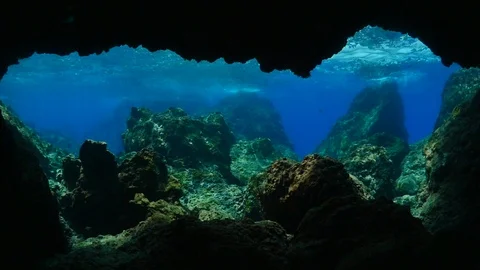 Sun rays beam shine underwater fish  waves on rocks white foam slow motion Stock Footage 104221498