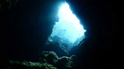 Sun rays beams shine underwater in cave scenery  fish around scuba divers to see Stock Footage 176217013