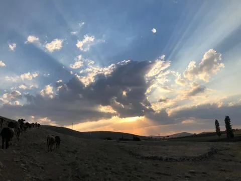 Sun rays behind sunset and clouds Foto stock