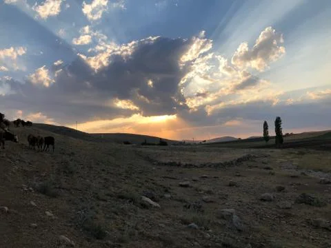 Sun rays behind sunset and clouds Foto stock