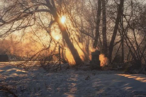 Sun rays between tree branches in Moscow park with fog or steam. Winter lands Stock Photos