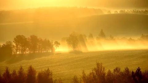 Sun rays between trees at sunrise in mist in autumn landscape. Stock Footage 81661518