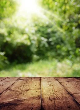 Sun rays on a blurry green background. Wooden table on a natural green back.. Stock Photos