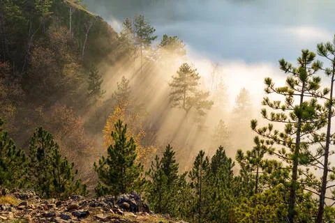 Sun rays braking mist and clouds Stock Photos