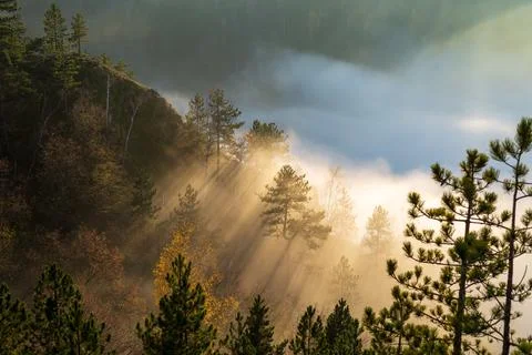 Sun rays braking mist and clouds Stock Photos