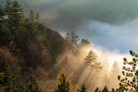 Sun rays braking mist and clouds Stock Photos