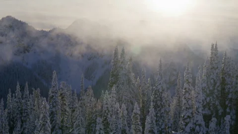 Sun rays break through the fog over a coniferous forest in the mountains, winter Stock Footage 252595654