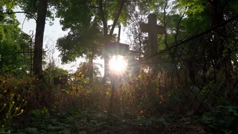 The sun rays break through overgrown old antique cemetery at sunset. metal cross Stock Footage 254443686