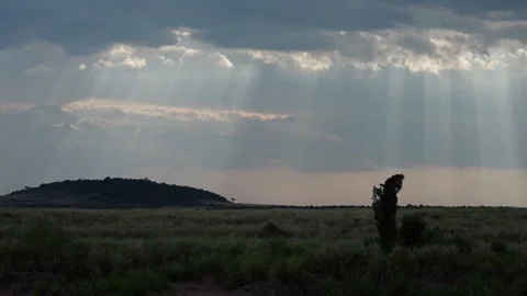 Sun Rays Breaking through Clouds over African Savannah Stock Footage 320600190