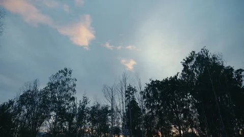 Sun Rays Breaking Through Clouds Above Forest at Dusk Stock Footage 342777167