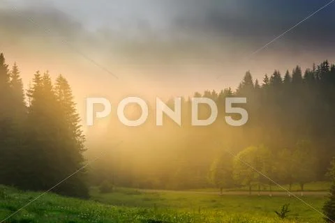 Sun rays breaking through the clouds and fog in forests Stock Photos