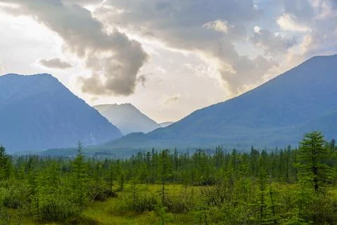 Sun rays breaking through clouds over mountain forest Stock Photos