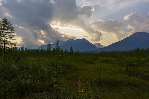 Sun rays breaking through clouds over mountain forest Stock Photos
