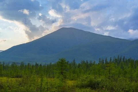 Sun rays breaking through clouds over mountain forest Foto stock