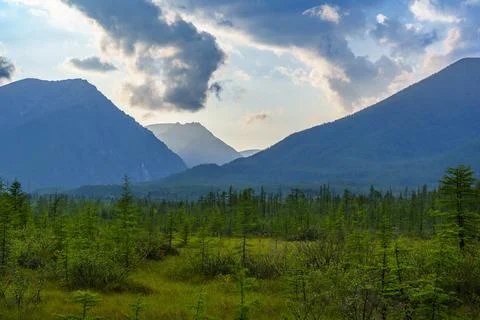 Sun rays breaking through clouds over mountain forest Stock Photos