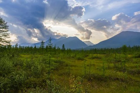 Sun rays breaking through clouds over mountain forest Stock Photos