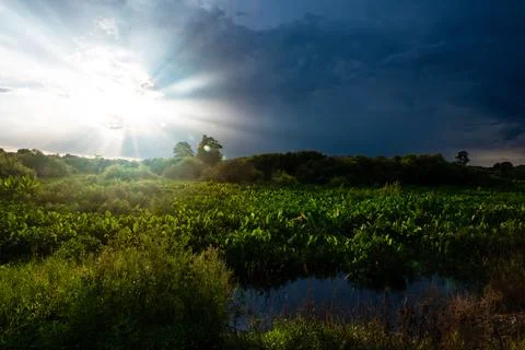 Sun Rays Breaking Through Clouds Over Florida Wetland Stock Photos