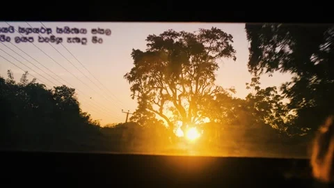 Sun Rays Breaking Through The Trees in savannah windshield view. Jeep safari. Stock Footage 246962942