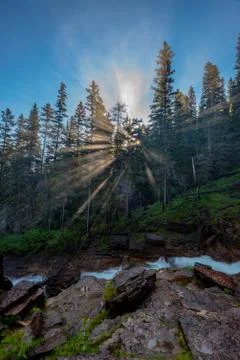 Sun Rays Burst Through Misty Forest Photos