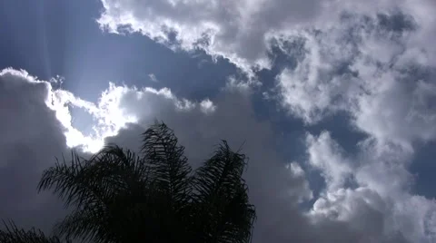 Sun Rays Clouds Palm Video stock 1067854
