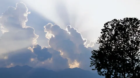 Sun rays coming out of white clouds along with a tree Stock Footage 256774222