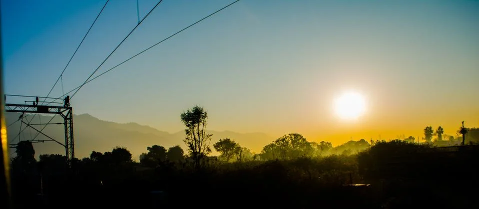 Sun rays coming through the trees and electric towers with fog Stock-Fotos