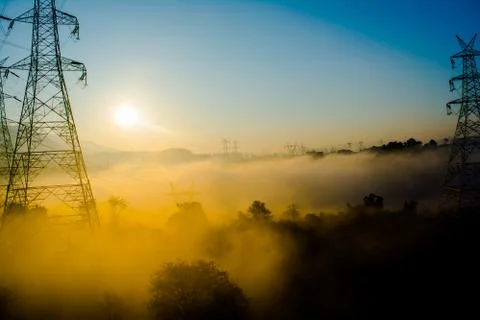 Sun rays coming through the trees and electric towers with fog Stock-Fotos