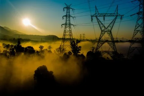 Sun rays coming through the trees and electric towers with fog Stock Photos