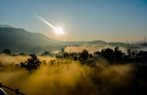 Sun rays coming through the trees and electric towers with fog Stock Photos