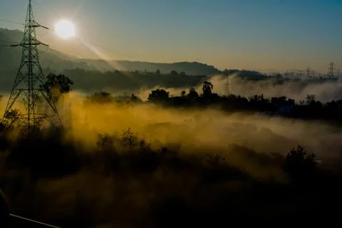 Sun rays coming through the trees and electric towers with fog Stock-Fotos
