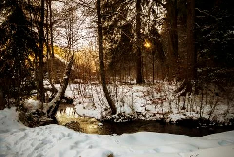Sun rays creeping through the branches on a winter morning by the river Stock Photos
