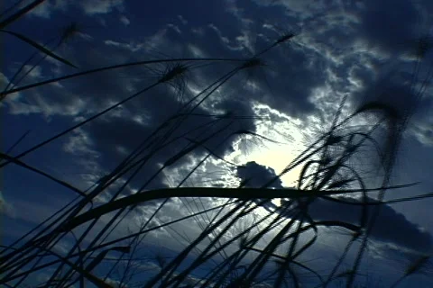 Sun rays from dark clouds Stock Footage 150841