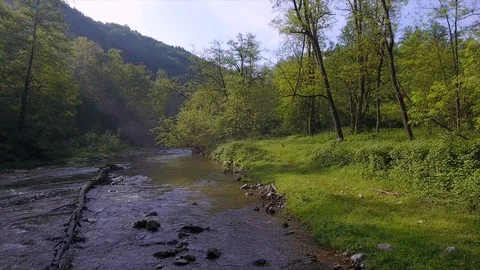 Sun rays fall on shallow mountain river with tree trunk Stock Footage 102679257