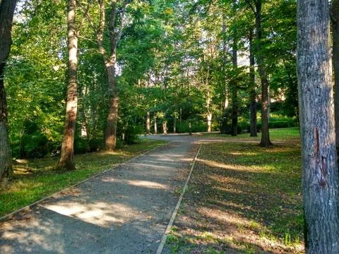 The sun is rays fall through the leavs on the path. Morning in the park. Stock Photos