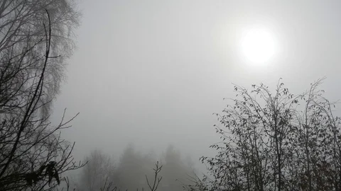 Sun rays filtering through the mist Stock Footage 70562592