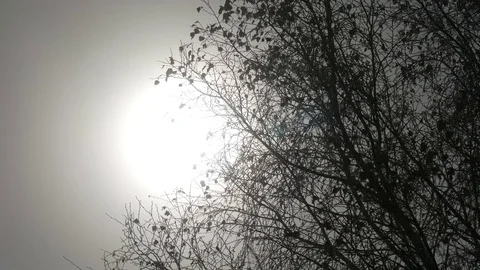 Sun rays filtering through the mist Video stock 70562611