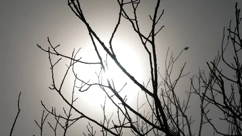 Sun rays filtering through the mist Stock Footage 70562983