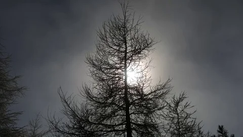 Sun rays filtering through the mist Video stock 70563245