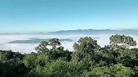 Sun Rays Foggy Mist Trees Sky Mountains Stock Footage 264262524