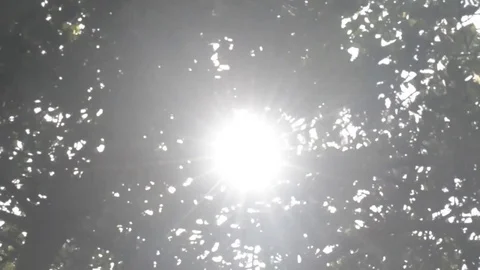Sun Rays 스톡 동영상 91885433