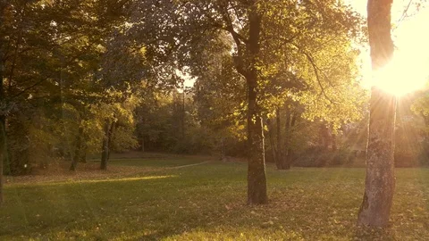 Sun Rays Stock Footage 122870348