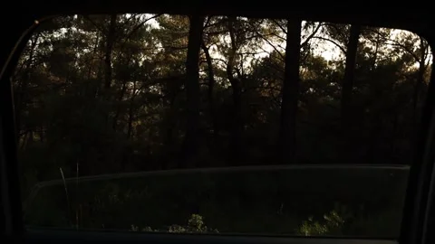 Sun Rays in the Forest Through the Car Window Stock Footage 326787129