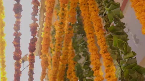 Sun rays from the garland of flowers in the temple uttrakhand india Stock Footage 219611259