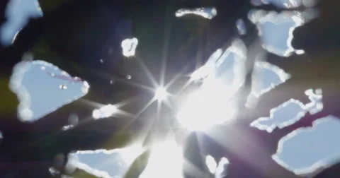 Sun rays glimmering through tree leaves and branches Stock-Footage 51820385
