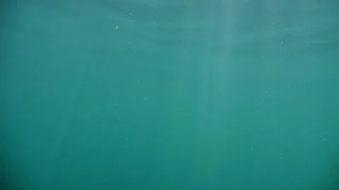 Sun rays illuminate a sea dive and return to the surface, elegantly recorde.. Video stock 254670239