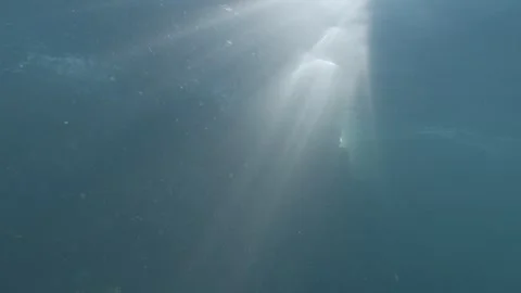 Sun rays illuminate spectacularly underwater in the sea 스톡 동영상 283184788